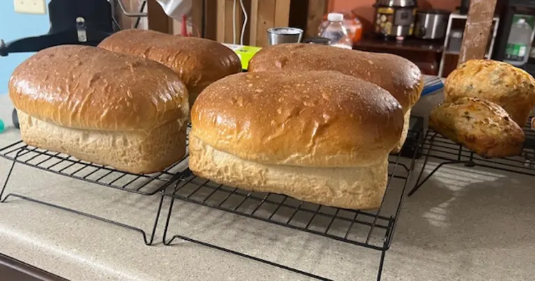 Down The Rabbit Hole Sourdough