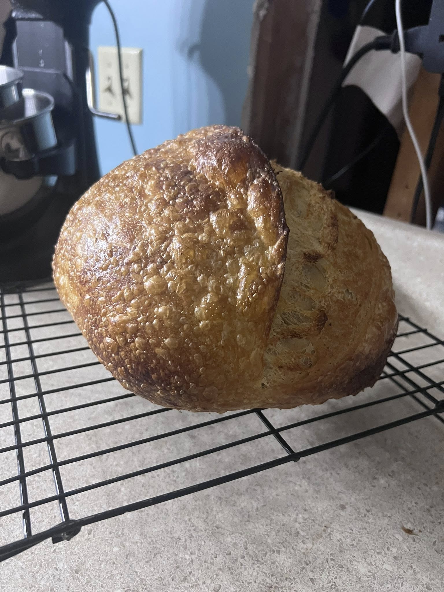 Down The Rabbit Hole Sourdough