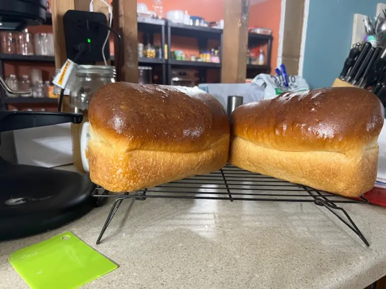 Down The Rabbit Hole Sourdough