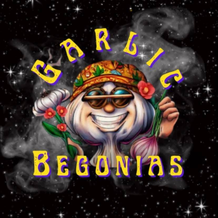 Garlic Begonias