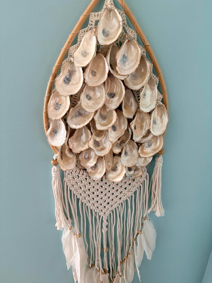 Seashells by Laurie