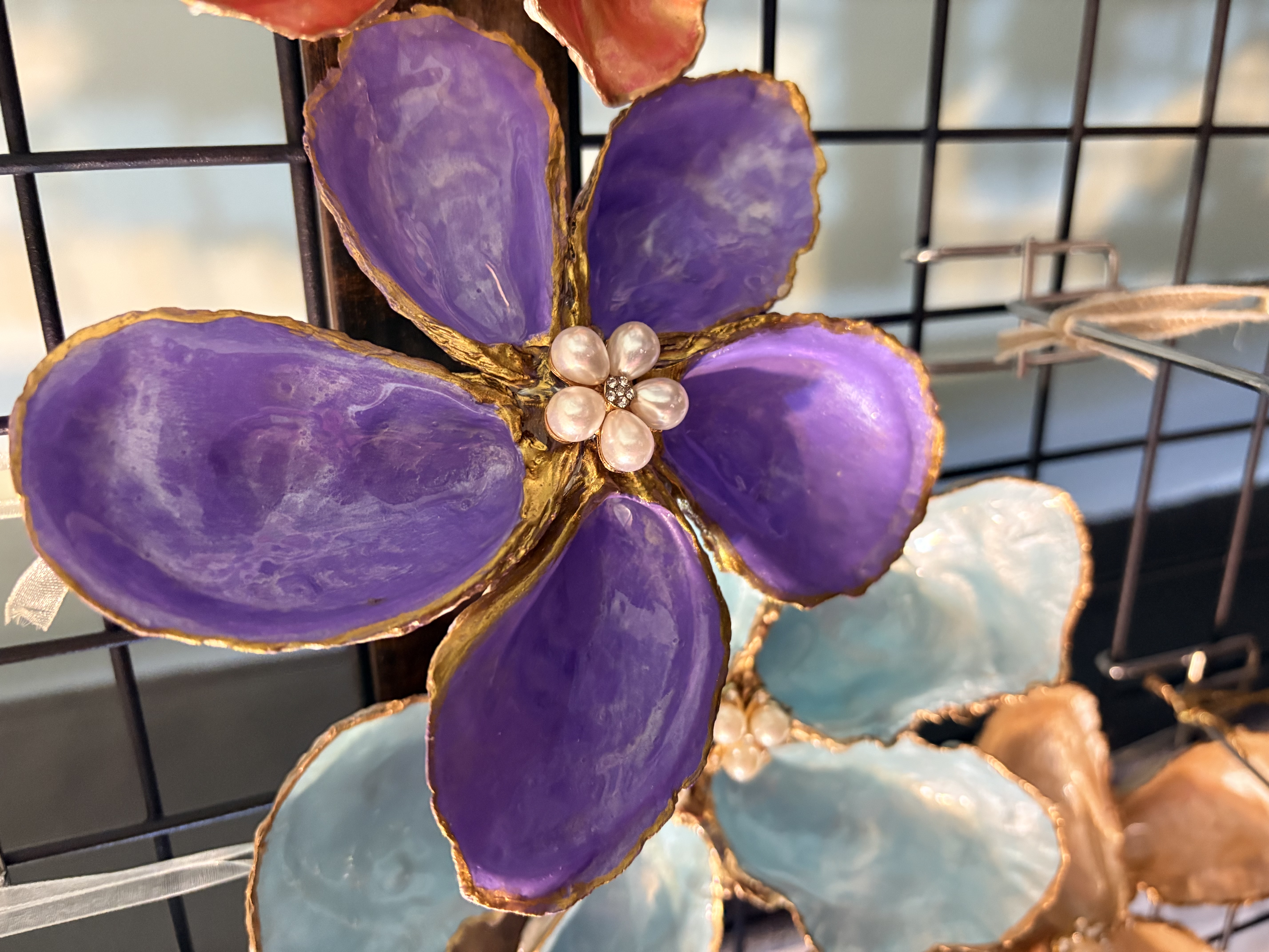 Seashells by Laurie