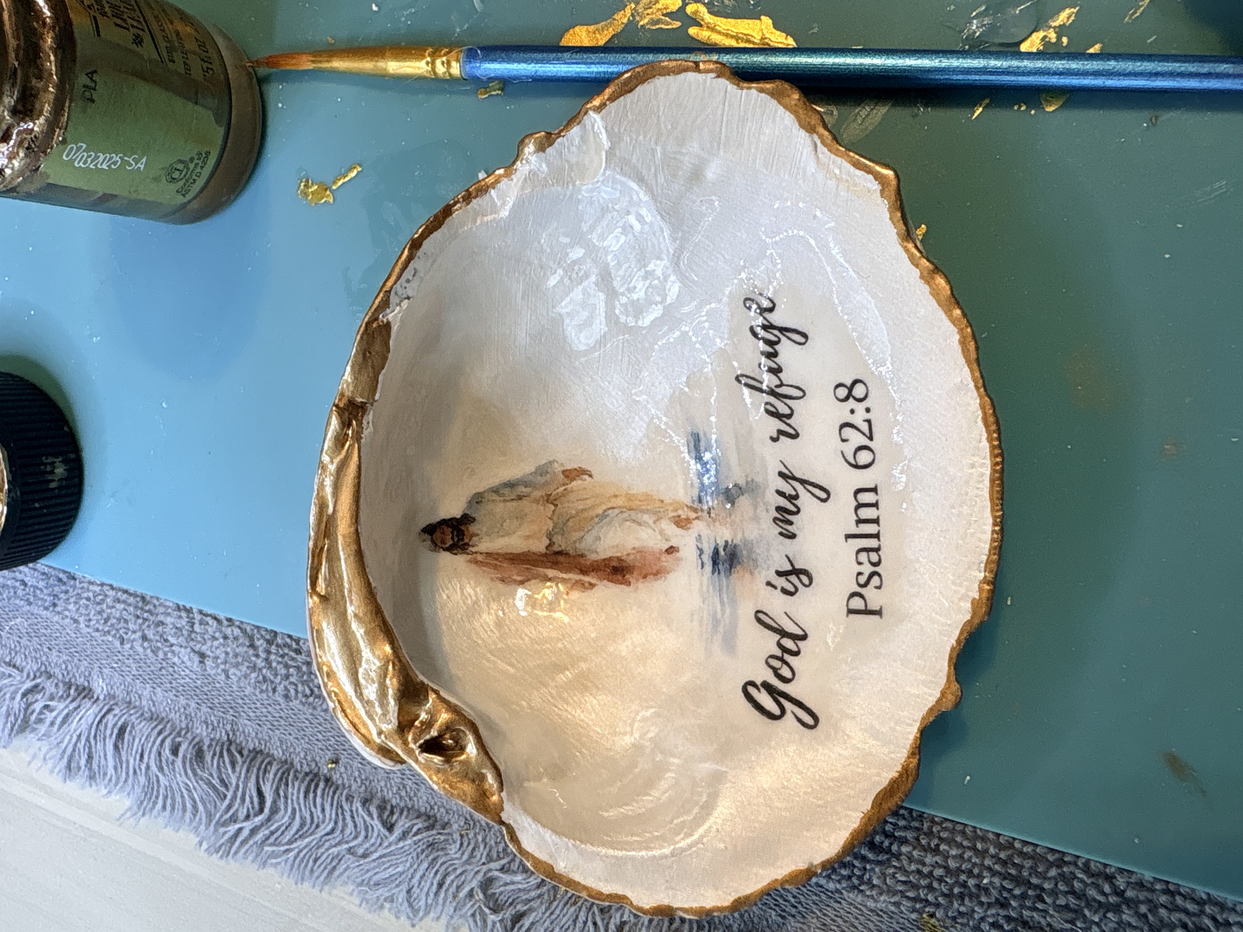 Seashells by Laurie