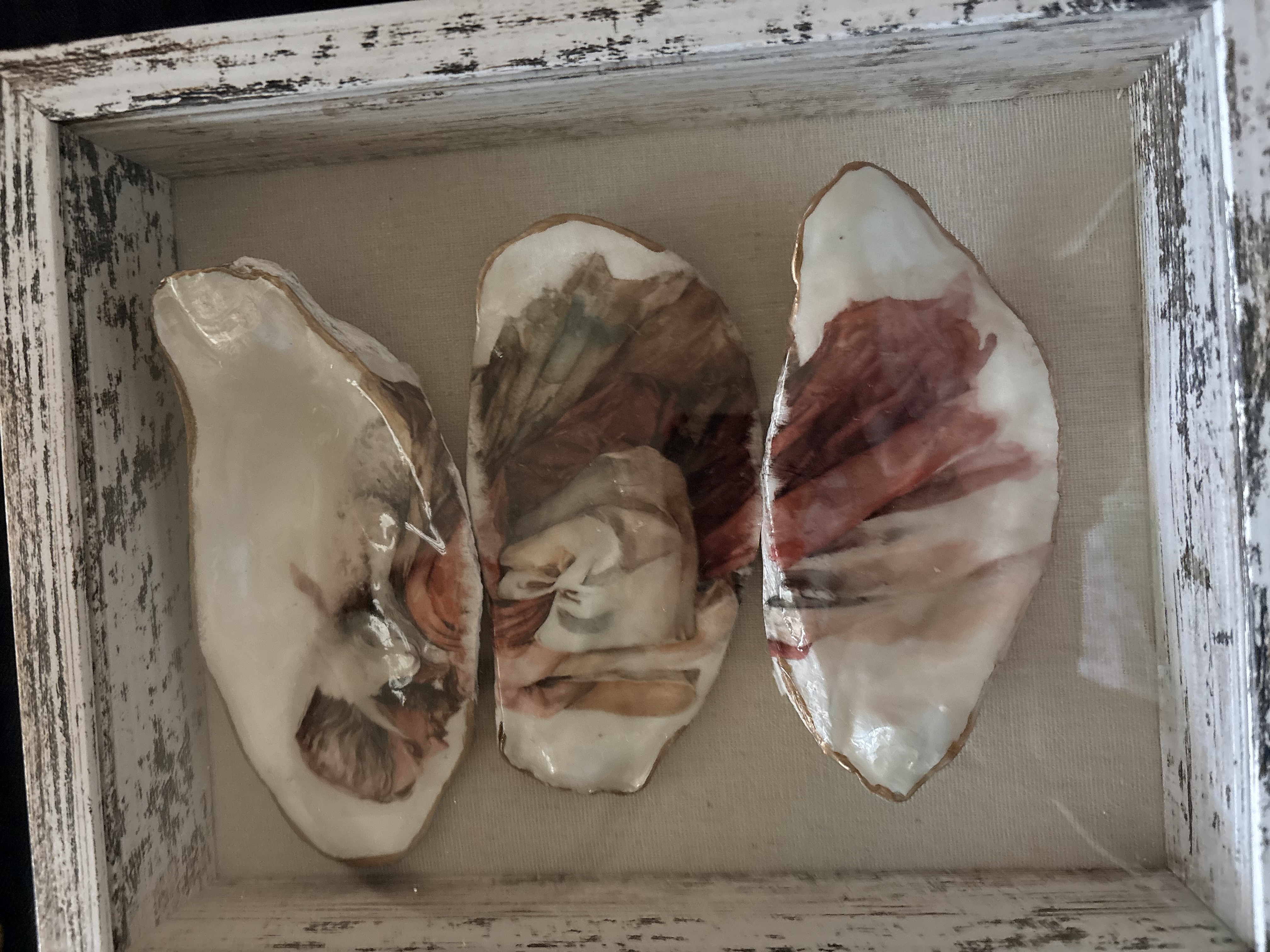 Seashells by Laurie