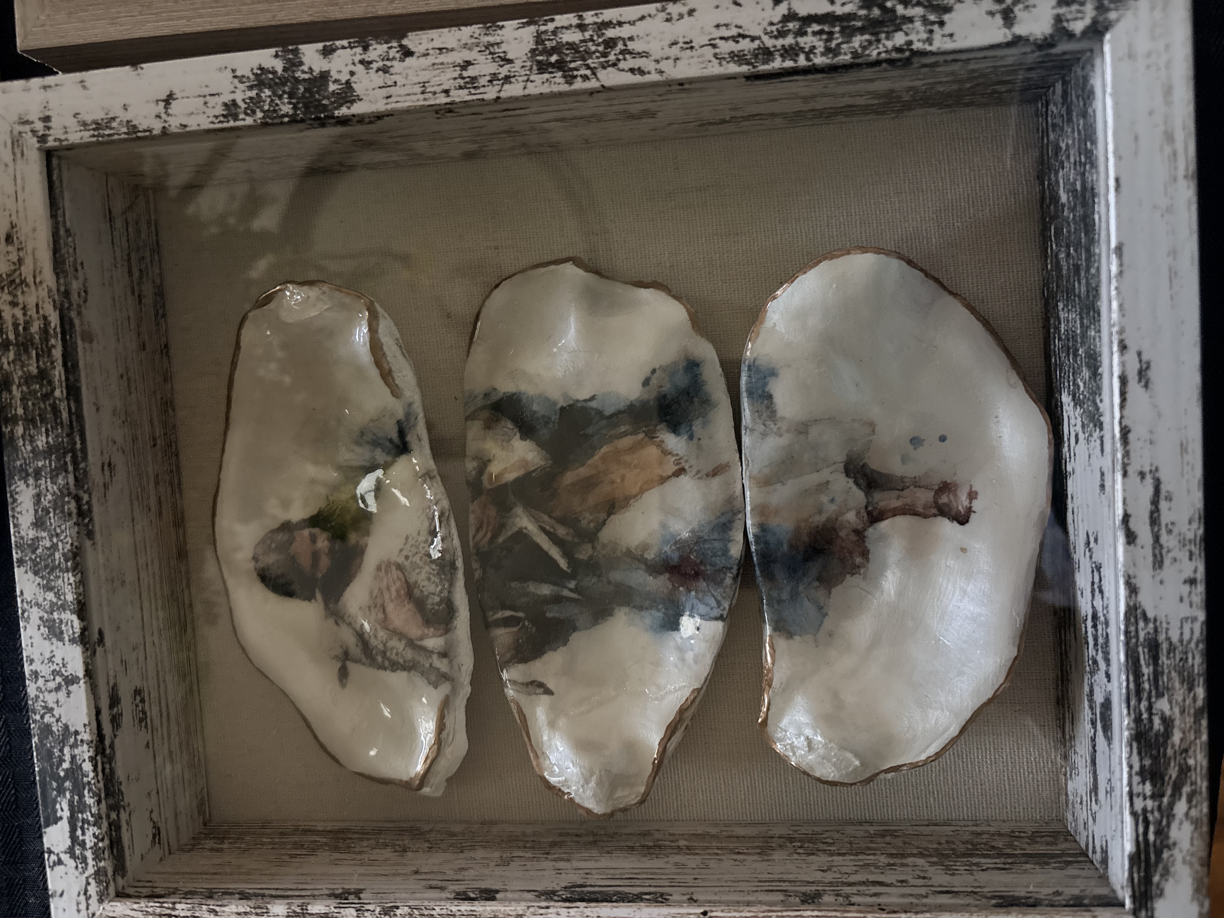 Seashells by Laurie