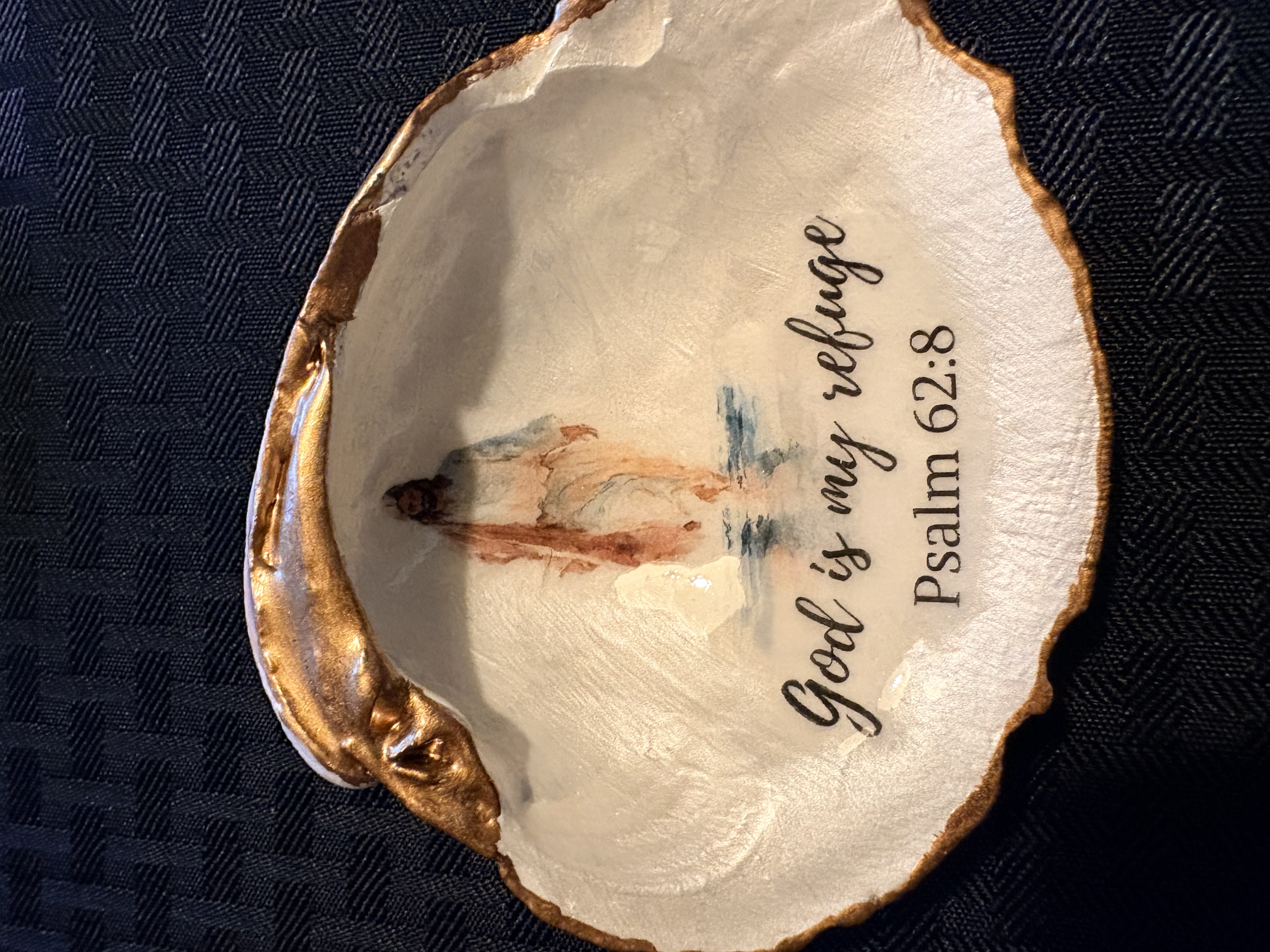 Seashells by Laurie