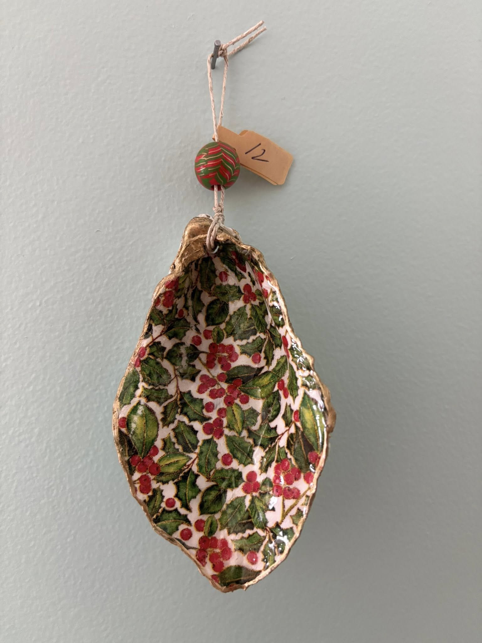 Seashells by Laurie