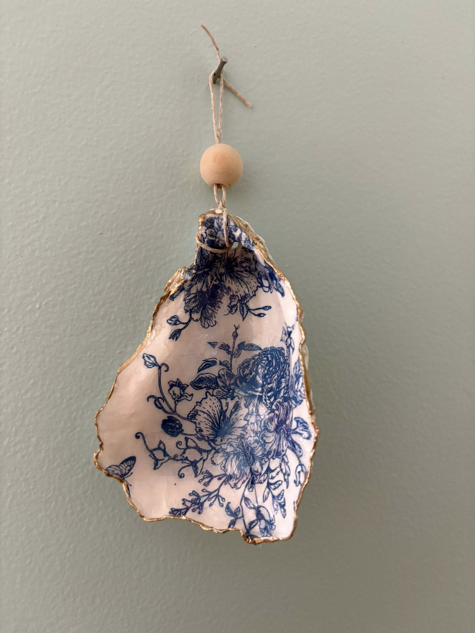 Seashells by Laurie
