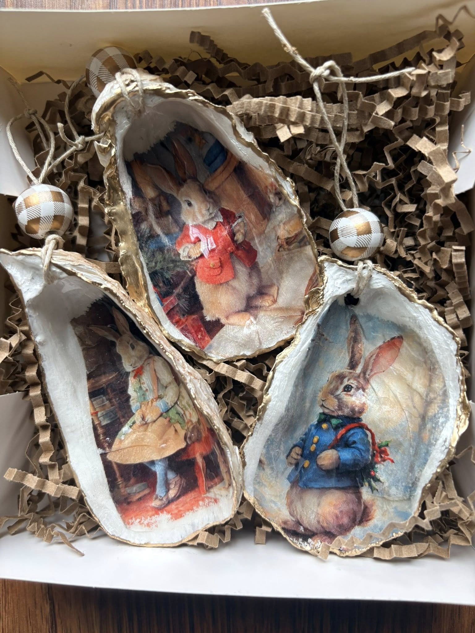 Seashells by Laurie