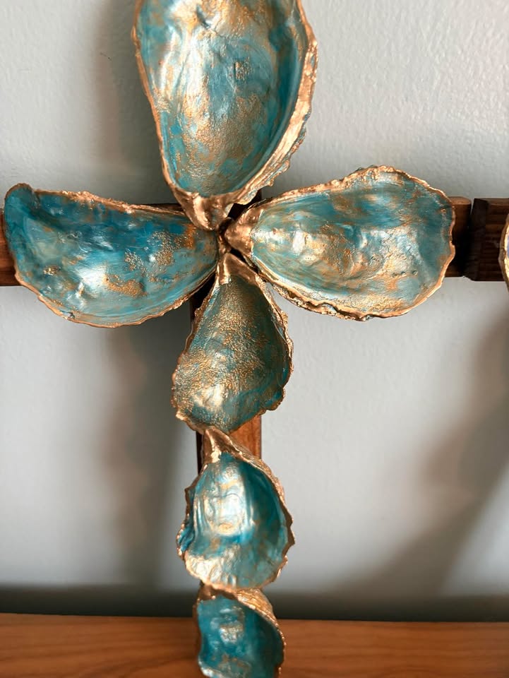 Seashells by Laurie