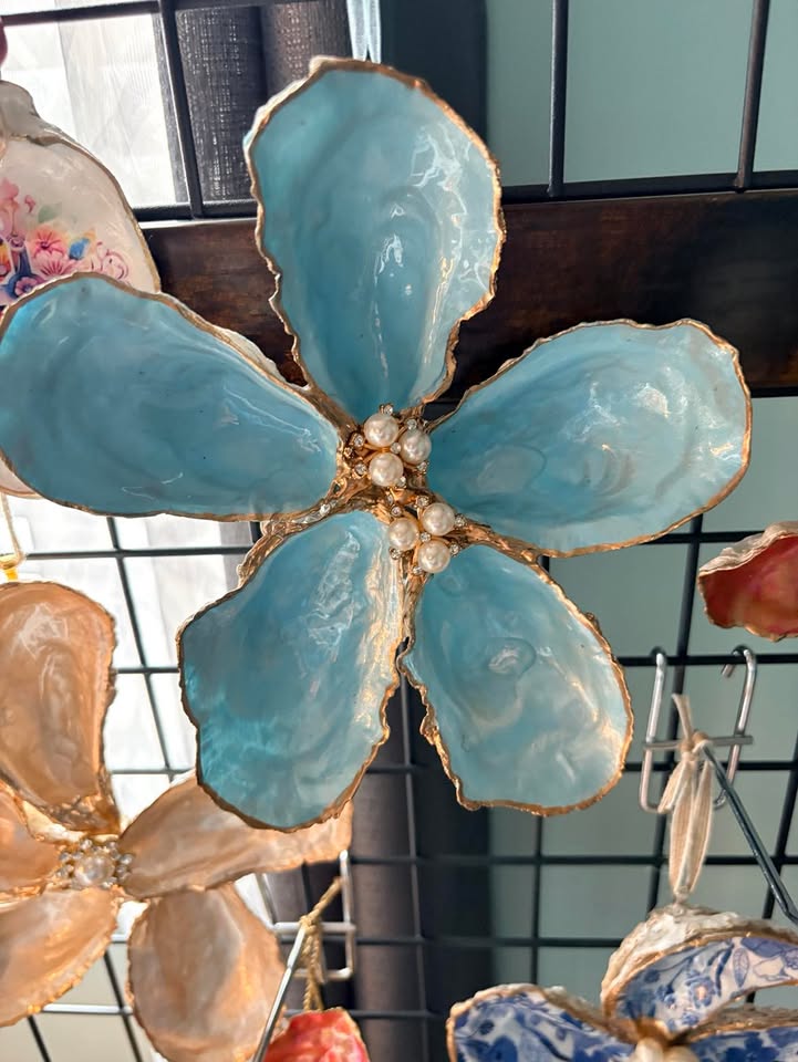 Seashells by Laurie