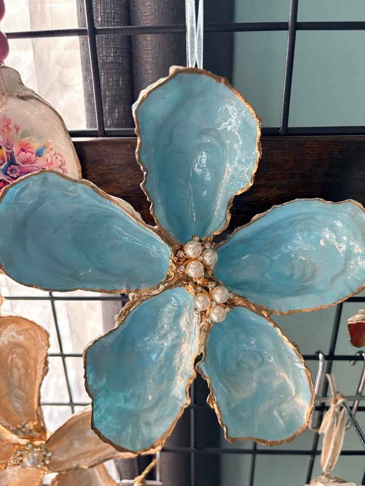 Seashells by Laurie