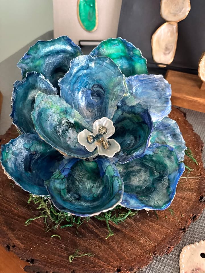 Seashells by Laurie