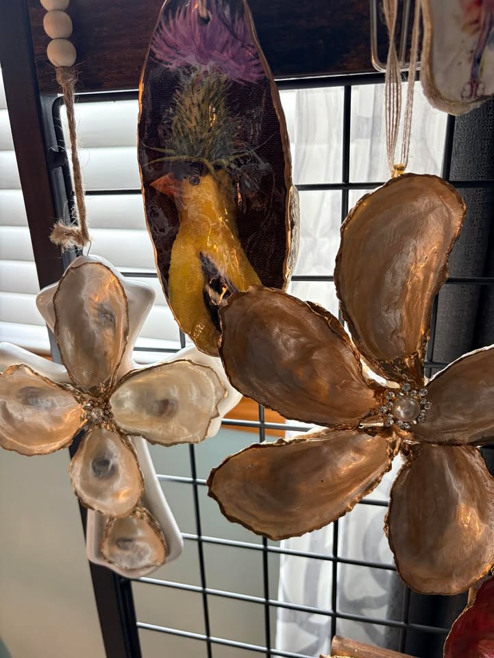 Seashells by Laurie