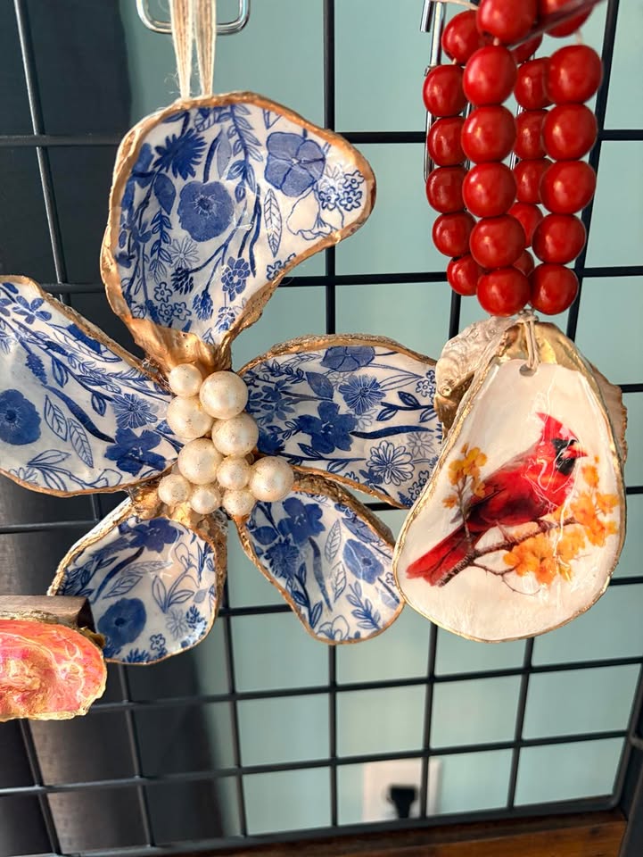 Seashells by Laurie